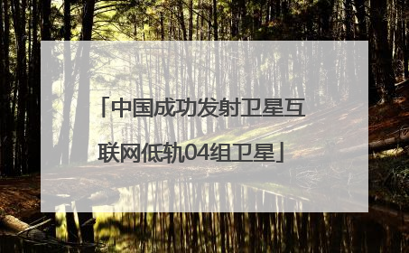 中国成功发射卫星互联网低轨04组卫星