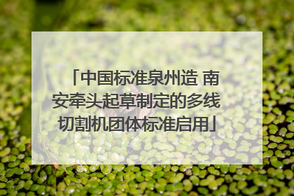 中国标准泉州造 南安牵头起草制定的多线切割机团体标准启用