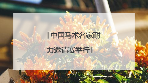 中国马术名家耐力邀请赛举行