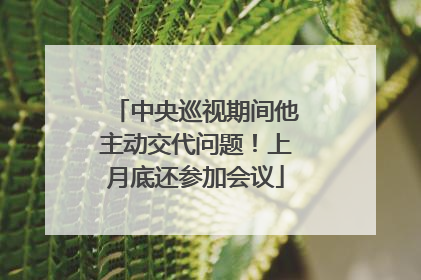中央巡视期间他主动交代问题！上月底还参加会议