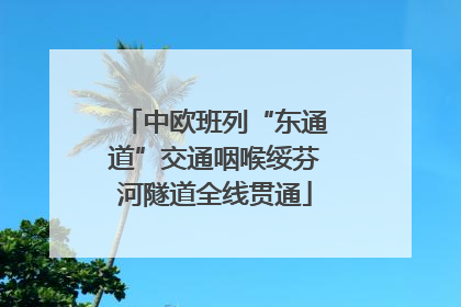 中欧班列“东通道”交通咽喉绥芬河隧道全线贯通