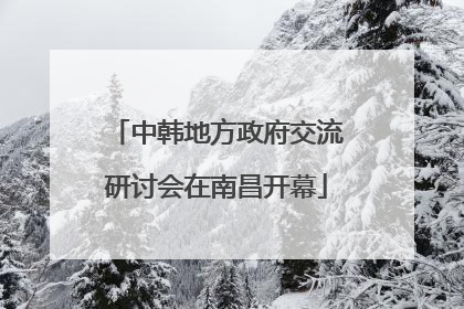 中韩地方政府交流研讨会在南昌开幕