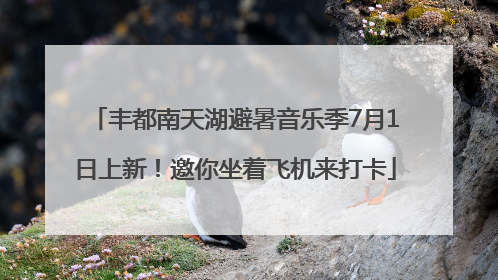丰都南天湖避暑音乐季7月1日上新！邀你坐着飞机来打卡