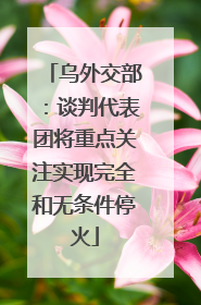 乌外交部：谈判代表团将重点关注实现完全和无条件停火