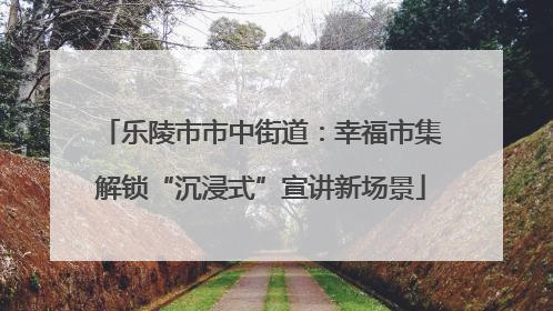 乐陵市市中街道：幸福市集解锁“沉浸式”宣讲新场景