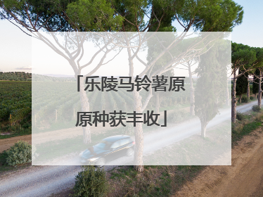 乐陵马铃薯原原种获丰收