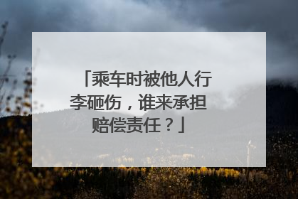 乘车时被他人行李砸伤，谁来承担赔偿责任？
