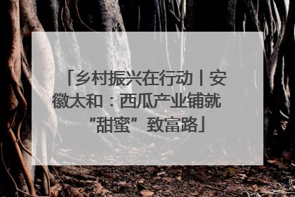 乡村振兴在行动丨安徽太和：西瓜产业铺就“甜蜜”致富路