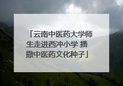 云南中医药大学师生走进西冲小学 播撒中医药文化种子