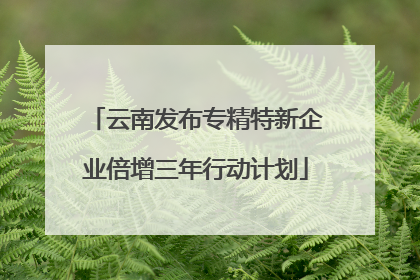 云南发布专精特新企业倍增三年行动计划