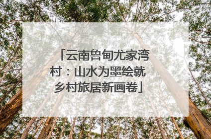 云南鲁甸尤家湾村：山水为墨绘就乡村旅居新画卷