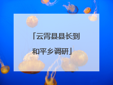 云霄县县长到和平乡调研