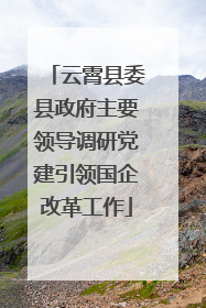 云霄县委县政府主要领导调研党建引领国企改革工作