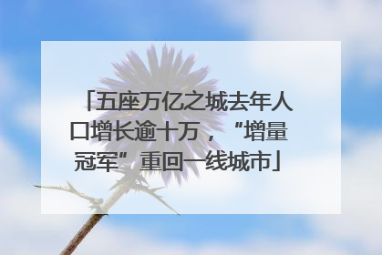 五座万亿之城去年人口增长逾十万，“增量冠军”重回一线城市
