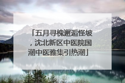 五月寻槐邂逅怪坡，沈北新区中医院国潮中医雅集引热潮