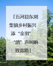 五河县东刘集镇乡村振兴添“金羽” “鸽”声叫响致富路