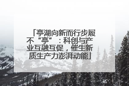 亭湖向新而行步履不“亭”：科创与产业互融互促，催生新质生产力澎湃动能