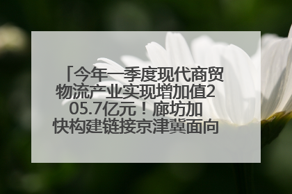 今年一季度现代商贸物流产业实现增加值205.7亿元！廊坊加快构建链接京津冀面向全世界的物流通道