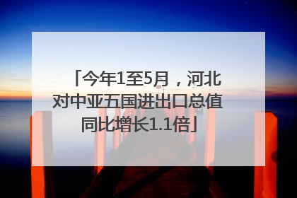 今年1至5月，河北对中亚五国进出口总值同比增长1.1倍