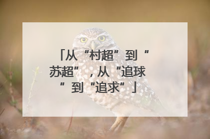 从“村超”到“苏超”，从“追球”到“追求”