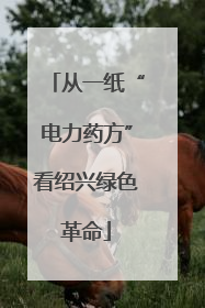 从一纸“电力药方”看绍兴绿色革命