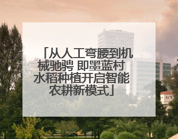 从人工弯腰到机械驰骋 即墨蓝村水稻种植开启智能农耕新模式