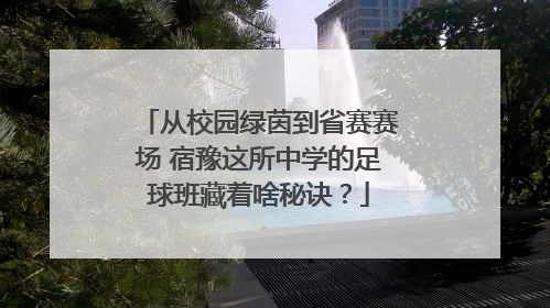 从校园绿茵到省赛赛场 宿豫这所中学的足球班藏着啥秘诀？