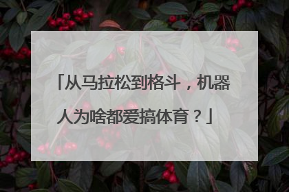 从马拉松到格斗，机器人为啥都爱搞体育？