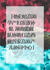 他们给高原孕产妇发放补贴 湖南援藏队协助打造西藏首家高原产儿协同中心