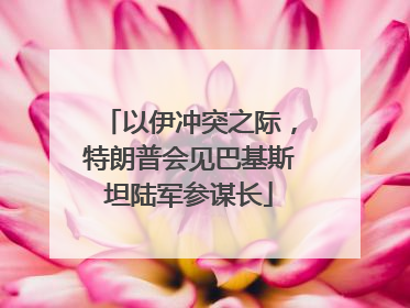 以伊冲突之际，特朗普会见巴基斯坦陆军参谋长