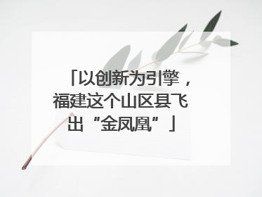 以创新为引擎，福建这个山区县飞出“金凤凰”