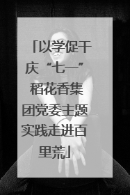 以学促干庆“七一” 稻花香集团党委主题实践走进百里荒