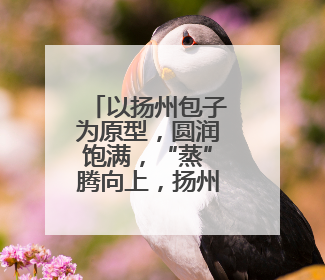 以扬州包子为原型，圆润饱满，“蒸”腾向上，扬州足球队吉祥物“包赢”亮相即售罄