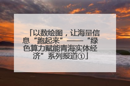 以数绘图，让海量信息“跑起来”——“绿色算力赋能青海实体经济”系列报道①