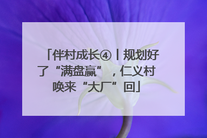 伴村成长④丨规划好了“满盘赢”，仁义村唤来“大厂”回