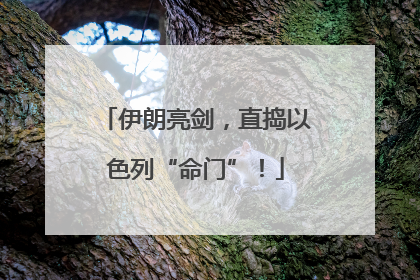 伊朗亮剑，直捣以色列“命门”！