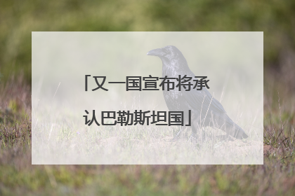 又一国宣布将承认巴勒斯坦国
