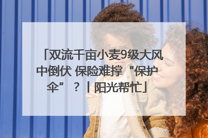 双流千亩小麦9级大风中倒伏 保险难撑“保护伞”？丨阳光帮忙