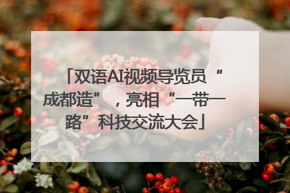 双语AI视频导览员“成都造”，亮相“一带一路”科技交流大会