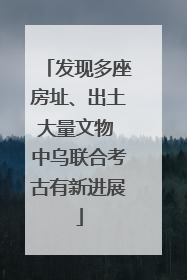 发现多座房址、出土大量文物 中乌联合考古有新进展