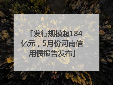 发行规模超184亿元，5月份河南信用债报告发布