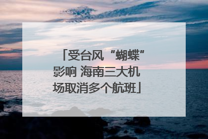 受台风“蝴蝶”影响 海南三大机场取消多个航班