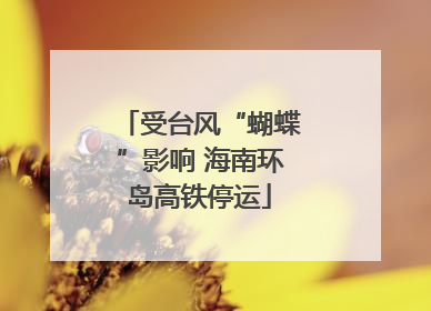 受台风“蝴蝶”影响 海南环岛高铁停运