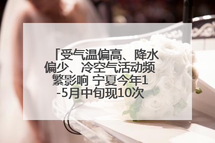 受气温偏高、降水偏少、冷空气活动频繁影响 宁夏今年1-5月中旬现10次定级沙尘天气过程