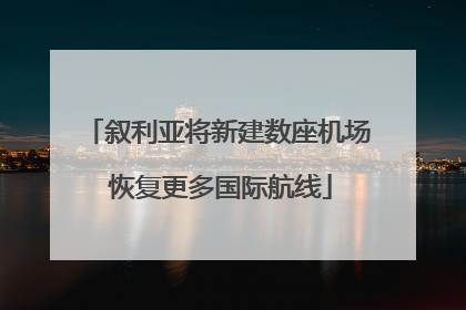 叙利亚将新建数座机场 恢复更多国际航线