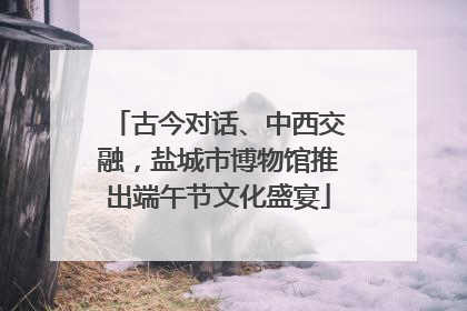 古今对话、中西交融，盐城市博物馆推出端午节文化盛宴