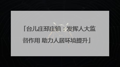 台儿庄邳庄镇：发挥人大监督作用 助力人居环境提升