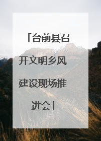 台前县召开文明乡风建设现场推进会