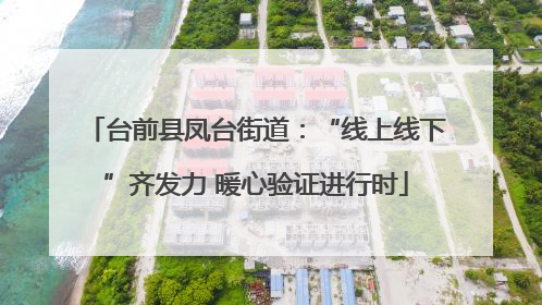 台前县凤台街道：“线上线下”齐发力 暖心验证进行时