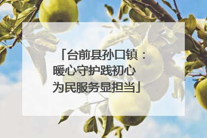 台前县孙口镇：暖心守护践初心 为民服务显担当